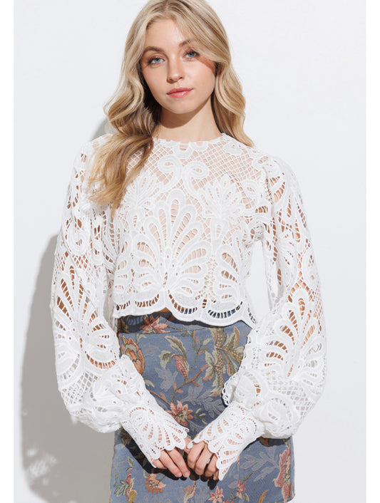 All Over Long Sleeve Lace Top
