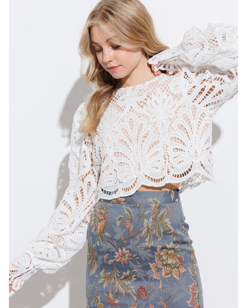 All Over Long Sleeve Lace Top